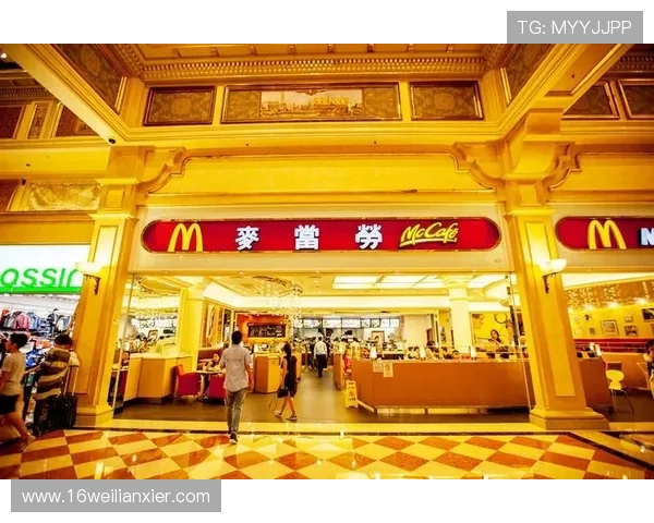 如何在澳门赌博中提高胜率的实用技巧